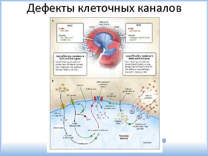Дефекты клеточных каналов 