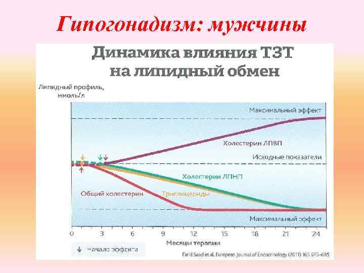 Гипогонадизм: мужчины 