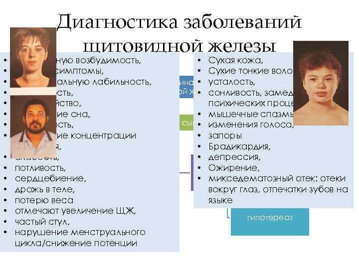  • • • • Диагностика заболеваний щитовидной железы повышенную возбудимость, • Сухая кожа,