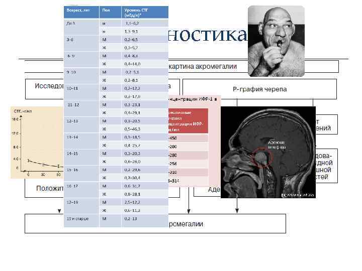 Диагностика 
