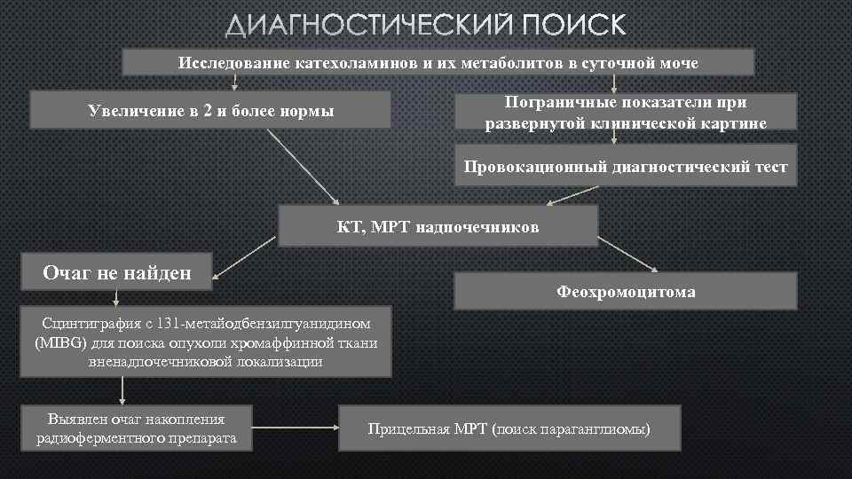 ДИАГНОСТИЧЕСКИЙ ПОИСК Исследование катехоламинов и их метаболитов в суточной моче Пограничные показатели при развернутой