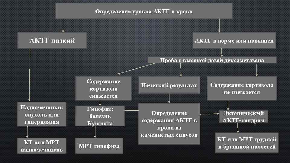 Низшие измерения. Определение уровня АКТГ. АКТГ повышен кортизол в норме. АКТГ И кортизол норма. Показатели пониженного АКТГ.