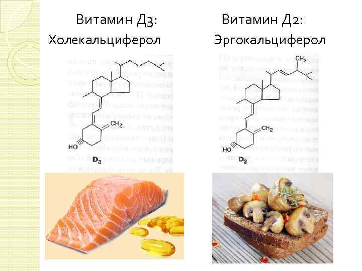  Витамин Д 3: Витамин Д 2: Холекальциферол Эргокальциферол 