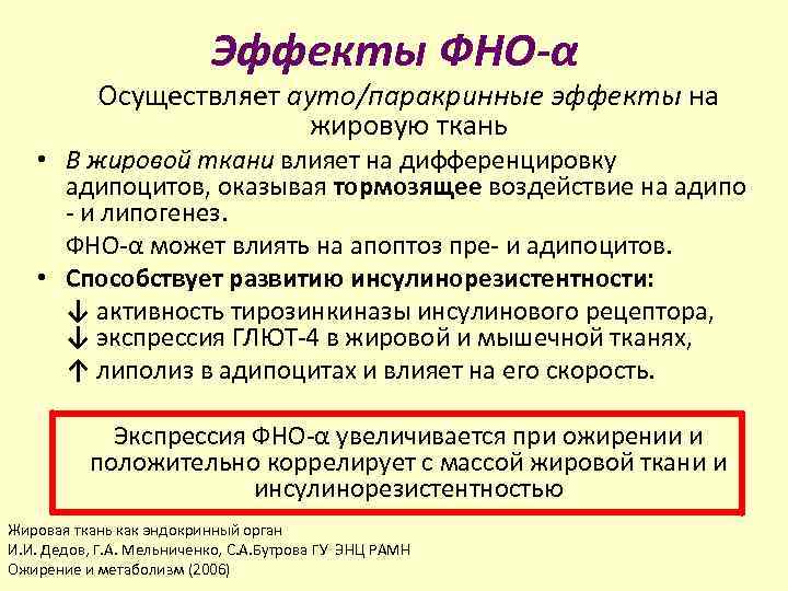 Эффекты ФНО-α Осуществляет ауто/паракринные эффекты на жировую ткань • В жировой ткани влияет на