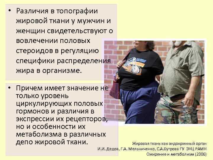  • Различия в топографии жировой ткани у мужчин и женщин свидетельствуют о вовлечении