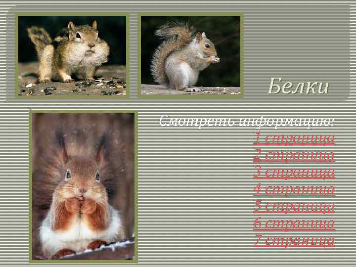 Белки Смотреть информацию: 1 страница 2 страница 3 страница 4 страница 5 страница 6