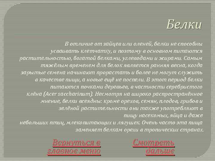 Белки В отличие от зайцев или оленей, белки не способны усваивать клетчатку, и поэтому