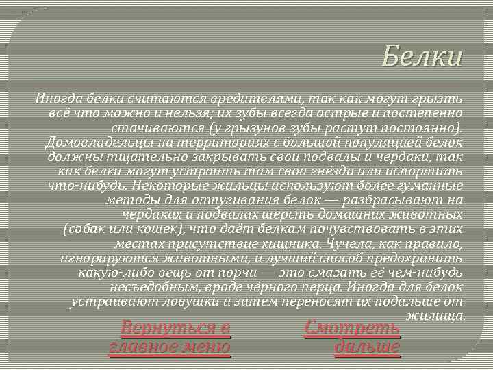 Белки Иногда белки считаются вредителями, так как могут грызть всё что можно и нельзя;