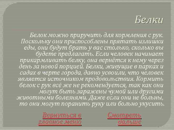 Белки Белок можно приручить для кормления с рук. Поскольку они приспособлены прятать излишки еды,