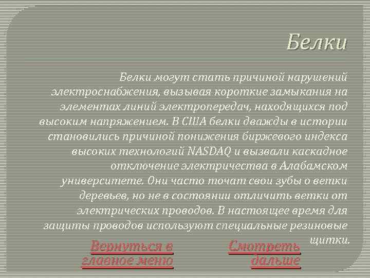 Белки могут стать причиной нарушений электроснабжения, вызывая короткие замыкания на элементах линий электропередач, находящихся