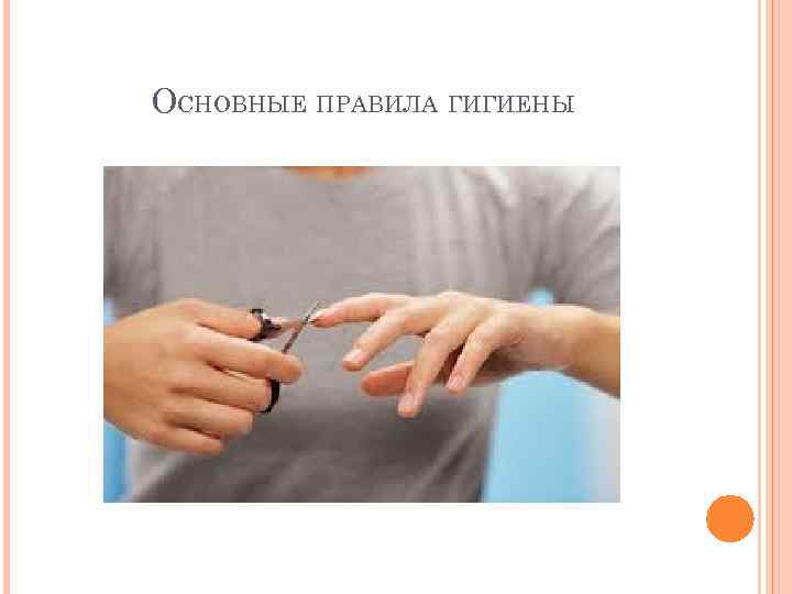 ОСНОВНЫЕ ПРАВИЛА ГИГИЕНЫ 