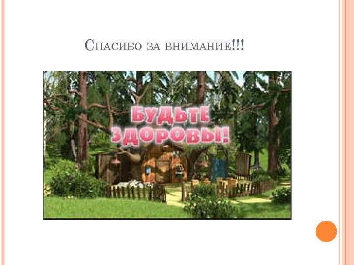 СПАСИБО ЗА ВНИМАНИЕ!!! 