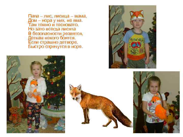 Папа – лис, лисица – мама, Дом – нора у них, не яма. Там