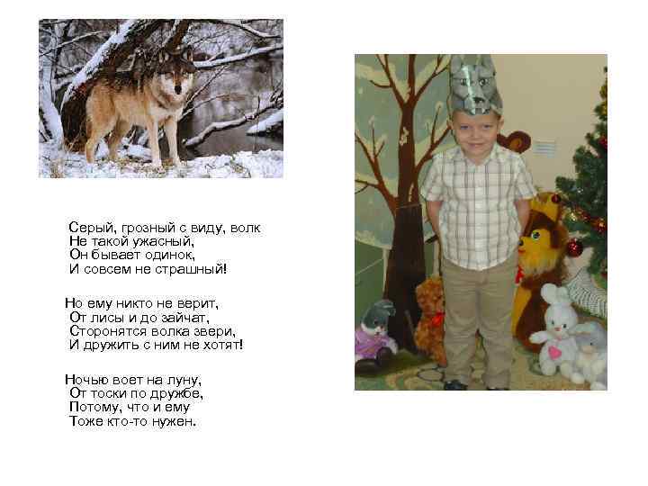 Серый, грозный с виду, волк Не такой ужасный, Он бывает одинок, И совсем не