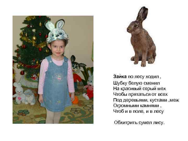 Зайка по лесу ходил , Шубку белую сменил На красивый серый мех Чтобы прятаться
