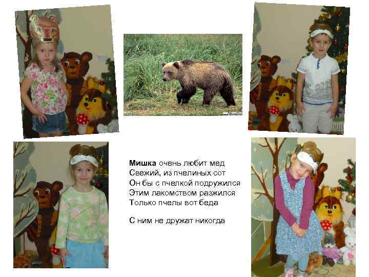 Мишка очень любит мед Свежий, из пчелиных сот Он бы с пчелкой подружился Этим