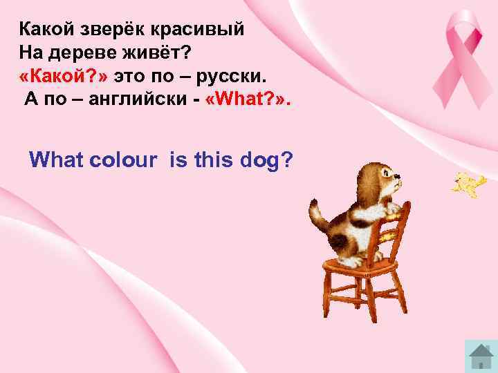 Какой зверёк красивый На дереве живёт? «Какой? » это по – русски. А по