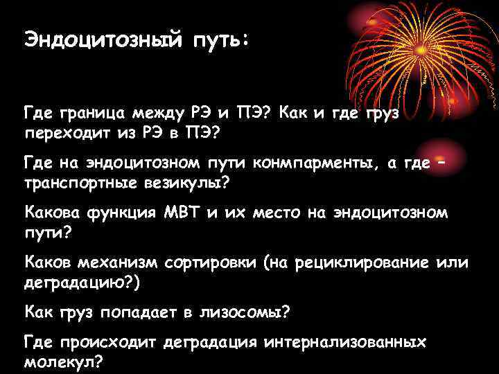 Эндоцитозный путь: Где граница между РЭ и ПЭ? Как и где груз переходит из