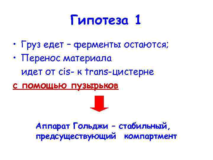 Гипотеза 1 • Груз едет – ферменты остаются; • Перенос материала идет от cis-