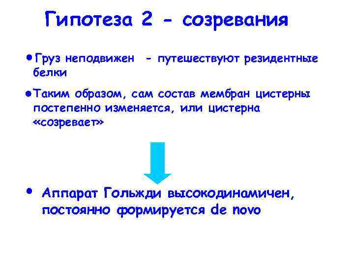 Гипотеза 2 - созревания Груз неподвижен - путешествуют резидентные белки Таким образом, сам состав
