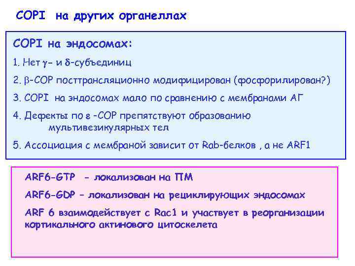 COPI на других органеллах COPI на эндосомах: 1. Нет - и -субъединиц 2. -COP