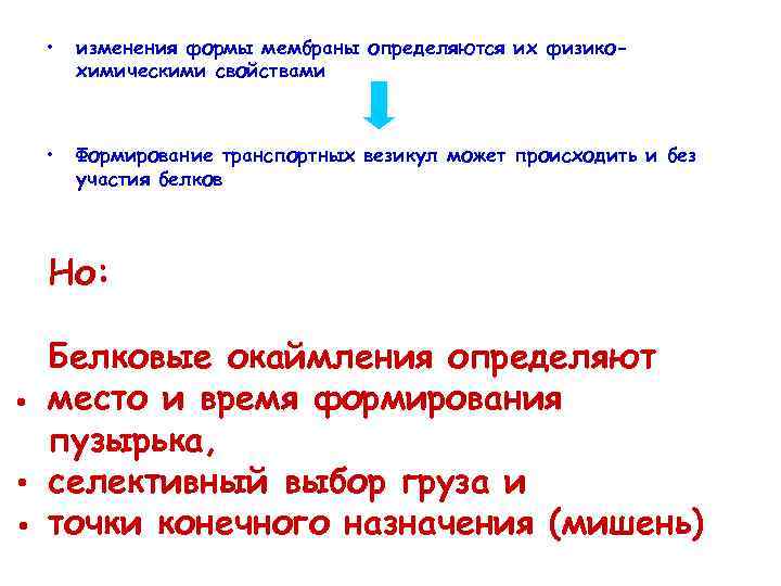  • изменения формы мембраны определяются их физикохимическими свойствами • Формирование транспортных везикул может