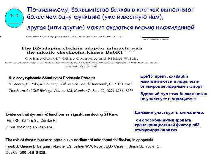 По-видимому, большинство белков в клетках выполняют более чем одну функцию (уже известную нам), другая