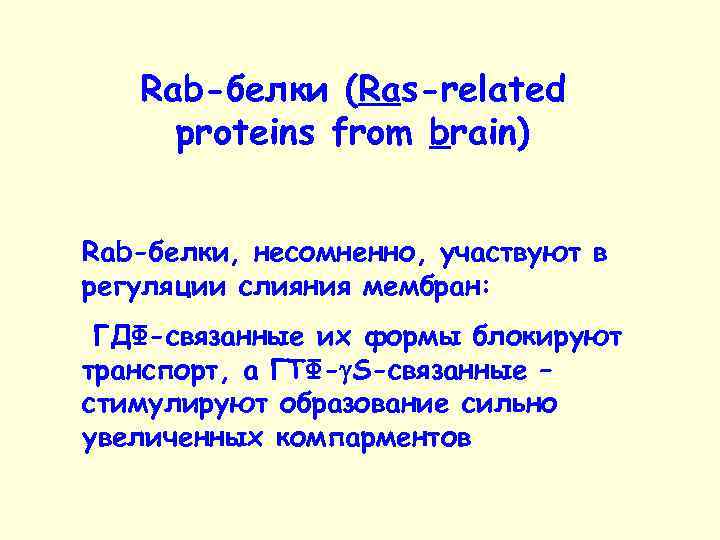 Rab-белки (Ras-related proteins from brain) Rab-белки, несомненно, участвуют в регуляции слияния мембран: ГДФ-связанные их