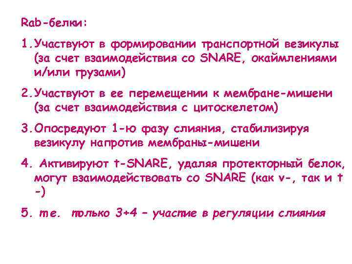 Rab-белки: 1. Участвуют в формировании транспортной везикулы (за счет взаимодействия со SNARE, окаймлениями и/или