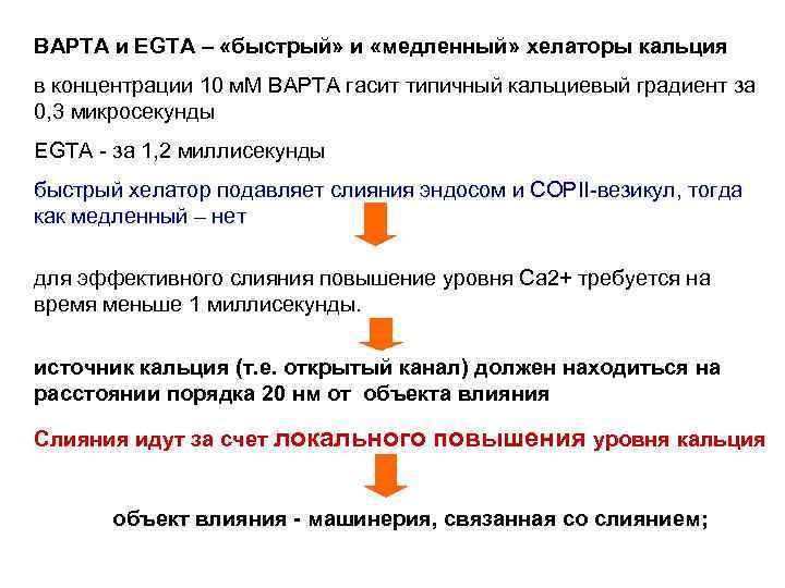 BAPTA и EGTA – «быстрый» и «медленный» хелаторы кальция в концентрации 10 м. М