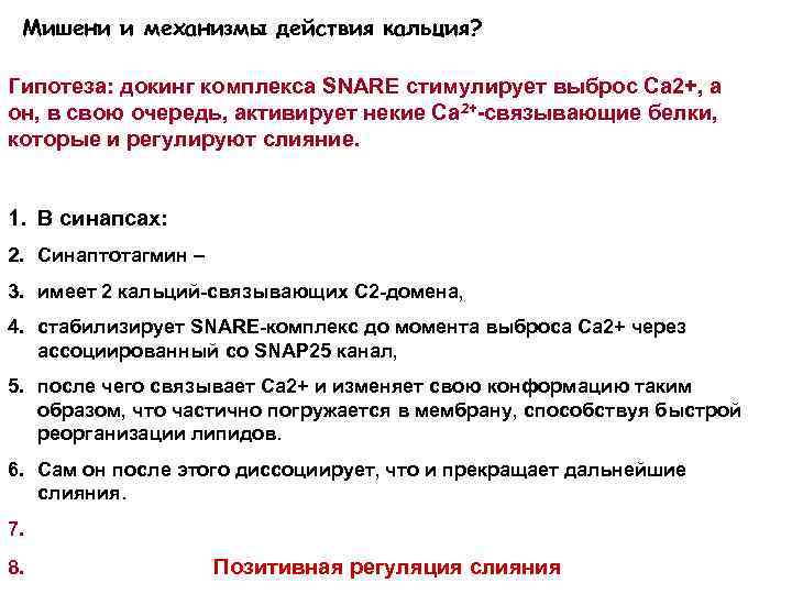 Мишени и механизмы действия кальция? Гипотеза: докинг комплекса SNARE стимулирует выброс Са 2+, а
