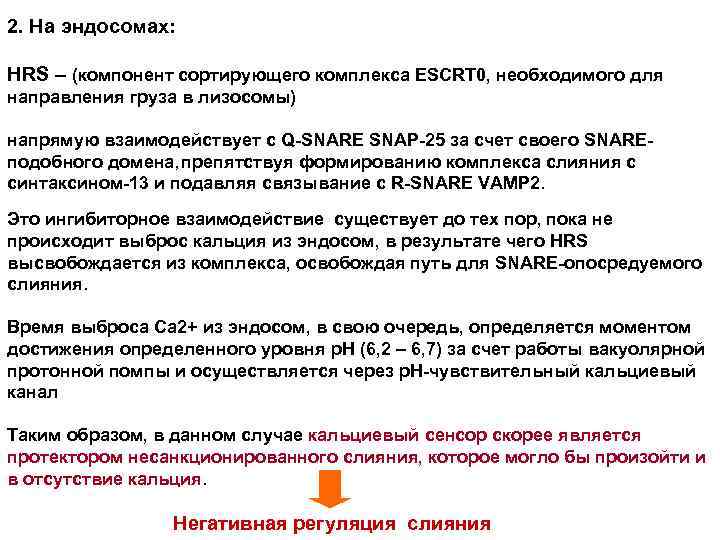 2. На эндосомах: HRS – (компонент сортирующего комплекса ESCRT 0, необходимого для направления груза