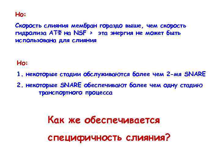 Но: Скорость слияния мембран гораздо выше, чем скорость гидролиза АТФ на NSF > эта