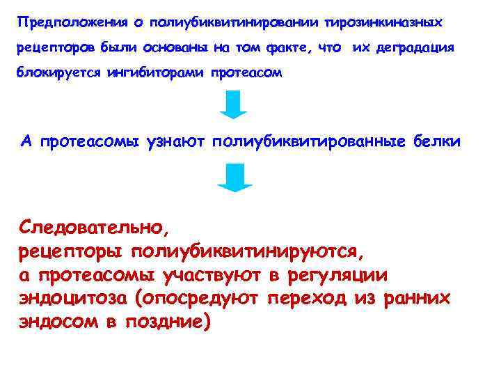 Предположения о полиубиквитинировании тирозинкиназных рецепторов были основаны на том факте, что их деградация блокируется