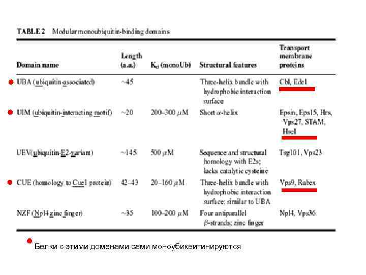 Белки с этими доменами сами моноубиквитинируются 