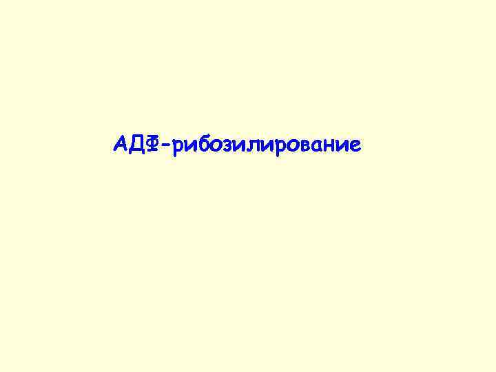 АДФ-рибозилирование 