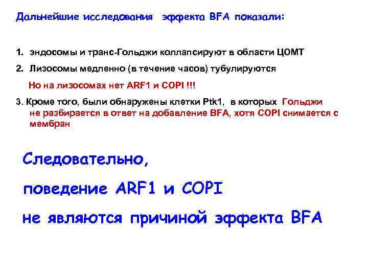 Дальнейшие исследования эффекта BFA показали: 1. эндосомы и транс-Гольджи коллапсируют в области ЦОМТ 2.