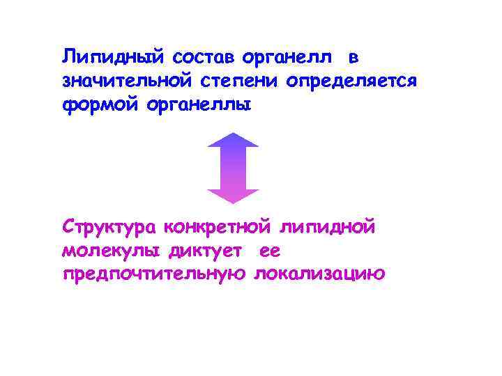 Липидный состав органелл в значительной степени определяется формой органеллы Структура конкретной липидной молекулы диктует