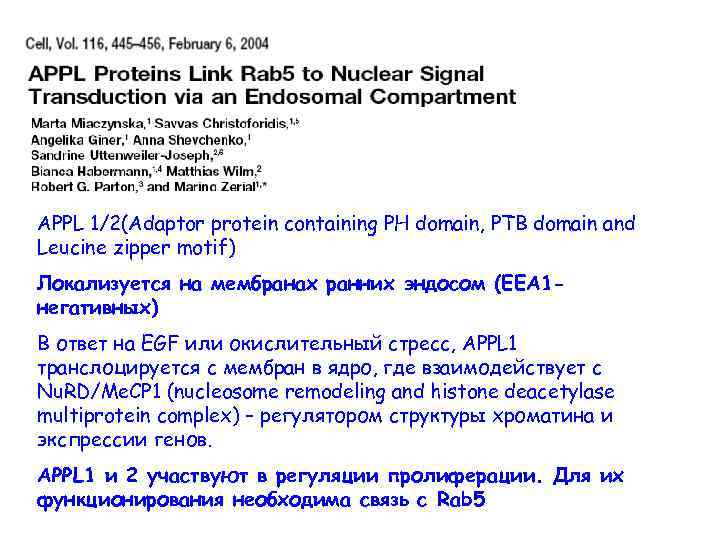APPL 1/2(Adaptor protein containing PH domain, PTB domain and Leucine zipper motif) Локализуется на