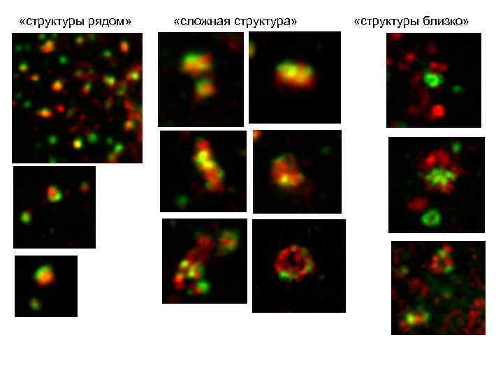  «структуры рядом» «сложная структура» «структуры близко» 