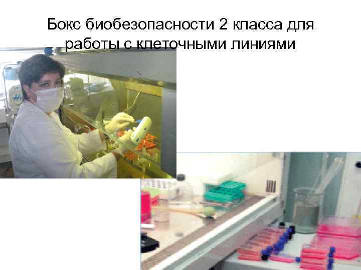 Бокс биобезопасности 2 класса для работы с клеточными линиями 