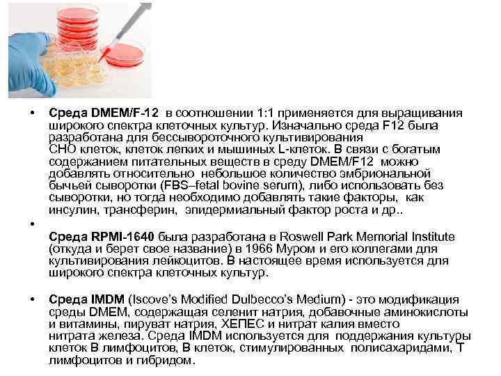  • • • Среда DMEM/F-12 в соотношении 1: 1 применяется для выращивания широкого