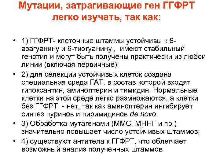 Мутации, затрагивающие ген ГГФРТ легко изучать, так как: • 1) ГГФРТ- клеточные штаммы устойчивы