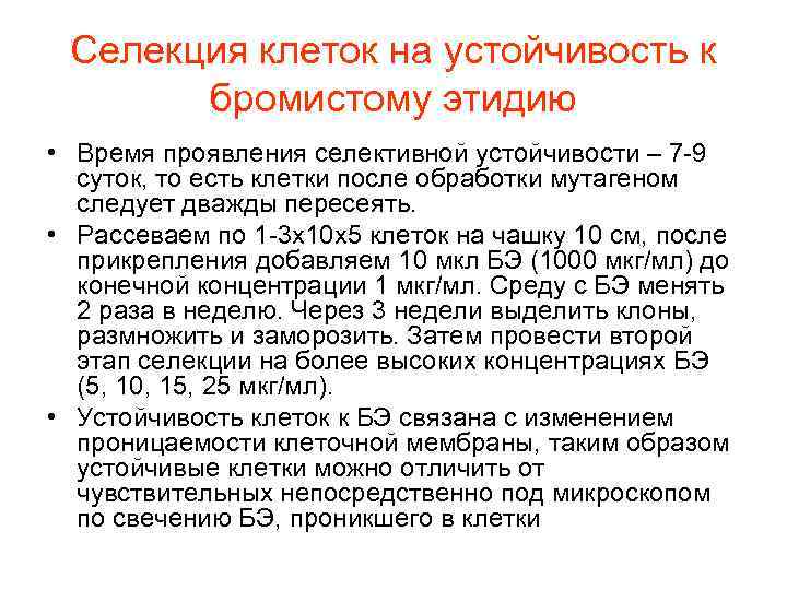 Селекция клеток на устойчивость к бромистому этидию • Время проявления селективной устойчивости – 7