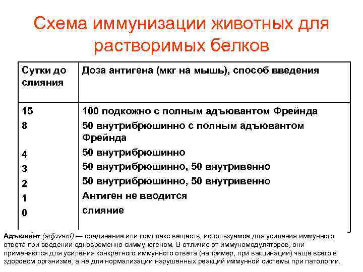 Схема иммунизации животных для растворимых белков Сутки до слияния Доза антигена (мкг на мышь),
