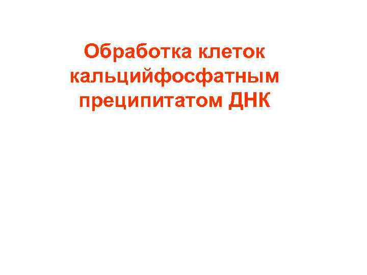 Обработка клеток кальцийфосфатным преципитатом ДНК 