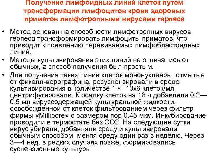 Получение лимфоидных линий клеток путем трансформации лимфоцитов крови здоровых приматов лимфотропными вирусами герпеса •