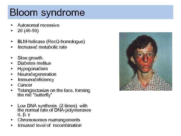 Bloom syndrome • • Autosomal recessive 20 (40 -50) • • BLM-helicase (Rec. Q-homologue)