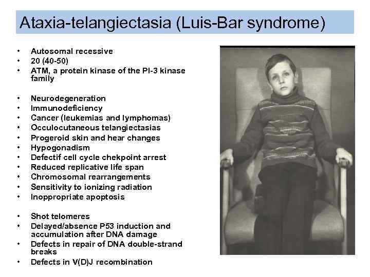 Ataxia-telangiectasia (Luis-Bar syndrome) • • • Autosomal recessive 20 (40 -50) ATM, a protein