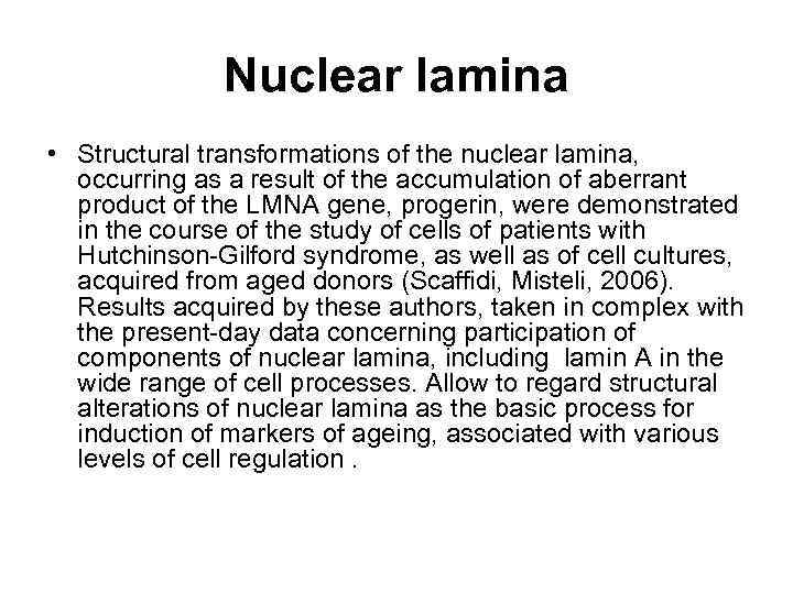 Nuclear lamina • Structural transformations of the nuclear lamina, occurring as a result of